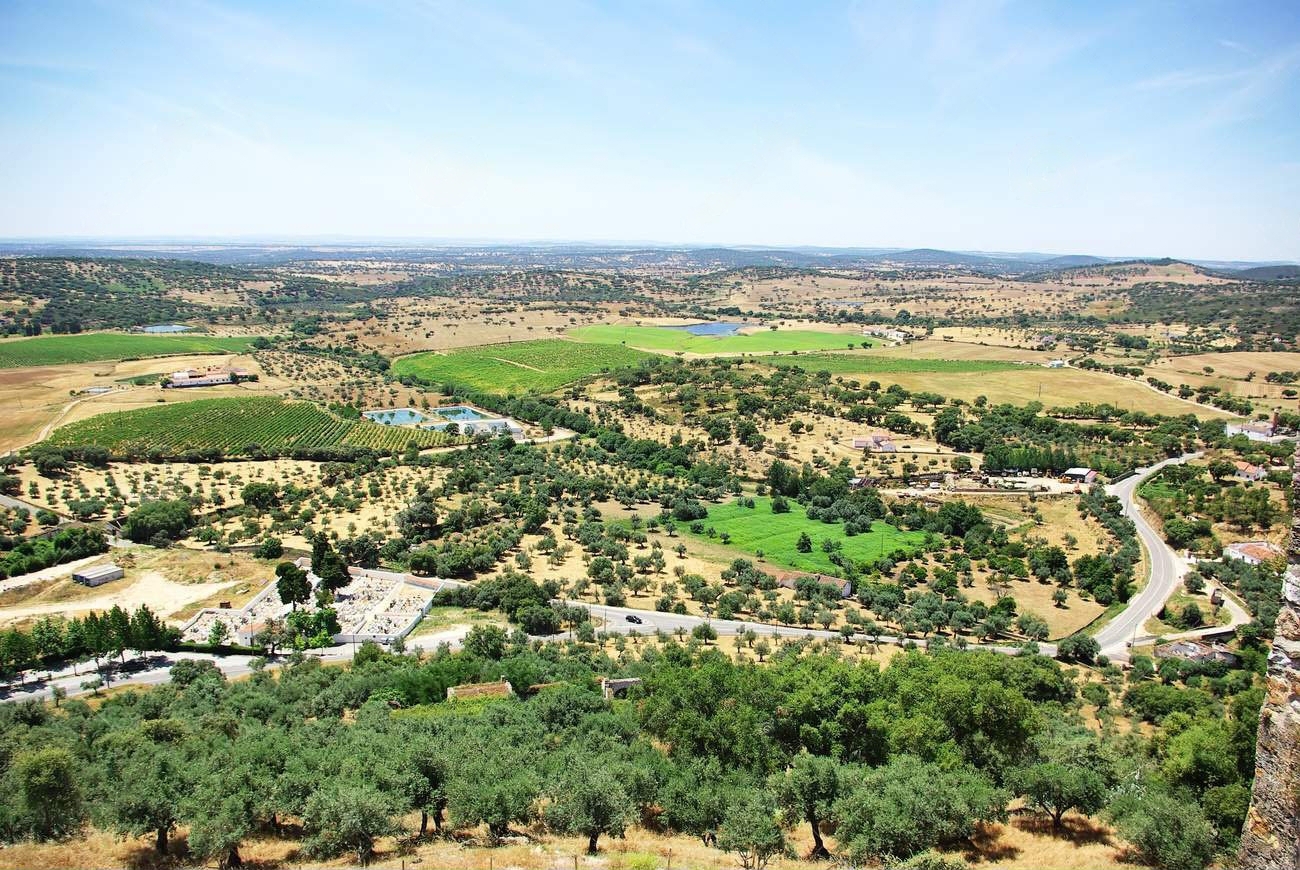 paisagem-do-campo-rural-na-regiao-do-alentejo-20144938-transformed.jpeg